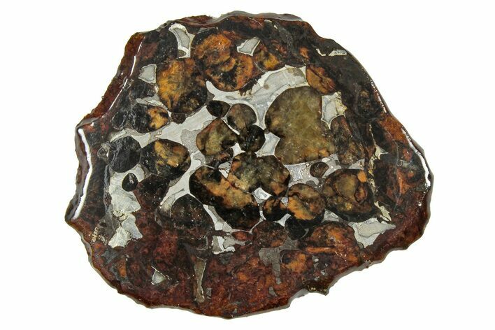 Sericho Pallasite Meteorite ( g) Slice - Kenya #335755
